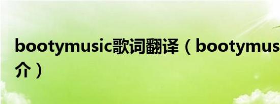 bootymusic歌词翻译（bootymusic歌曲简介）