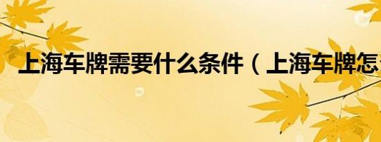 上海车牌需要什么条件（上海车牌怎么拍）