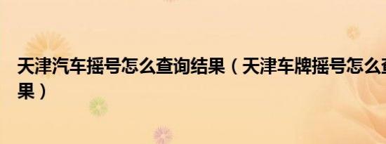 天津汽车摇号怎么查询结果（天津车牌摇号怎么查看摇号结果）