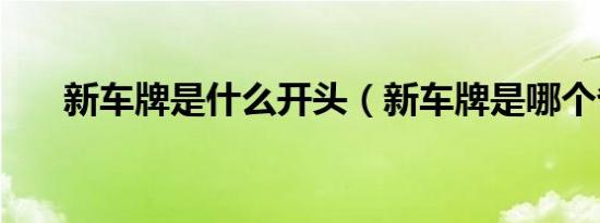 新车牌是什么开头（新车牌是哪个省）