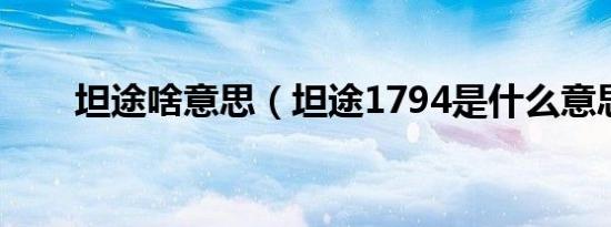 坦途啥意思（坦途1794是什么意思）
