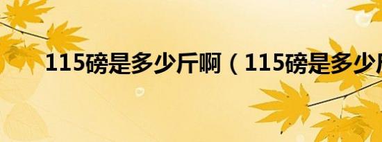 115磅是多少斤啊（115磅是多少斤）