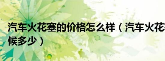 汽车火花塞的价格怎么样（汽车火花塞价格时候多少）