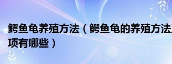 鳄鱼龟养殖方法（鳄鱼龟的养殖方法及注意事项有哪些）