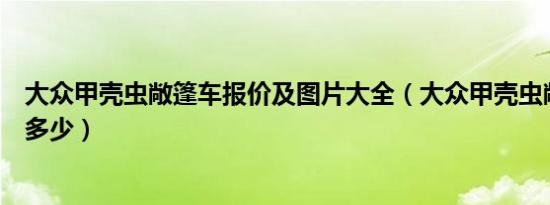 大众甲壳虫敞篷车报价及图片大全（大众甲壳虫敞篷车报价多少）