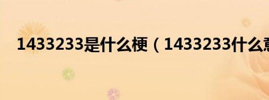 1433233是什么梗（1433233什么意思）