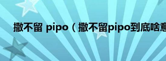 撒不留 pipo（撒不留pipo到底啥意思）