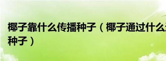 椰子靠什么传播种子（椰子通过什么途径传播种子）