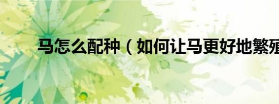 马怎么配种（如何让马更好地繁殖）
