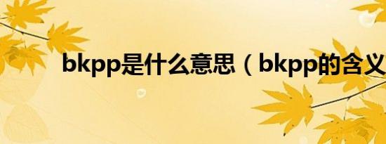 bkpp是什么意思（bkpp的含义）