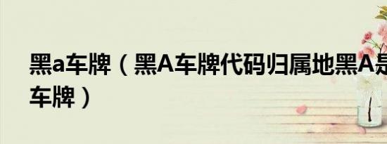 黑a车牌（黑A车牌代码归属地黑A是哪里的车牌）