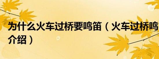 为什么火车过桥要鸣笛（火车过桥鸣笛的原因介绍）