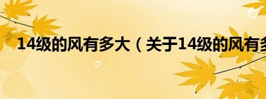 14级的风有多大（关于14级的风有多大）