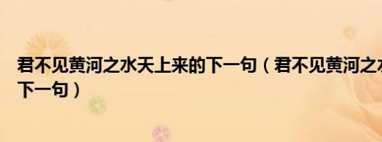 君不见黄河之水天上来的下一句（君不见黄河之水天上来的下一句）