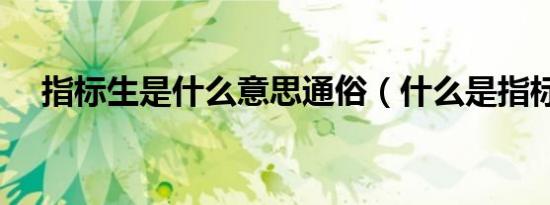 指标生是什么意思通俗（什么是指标生）