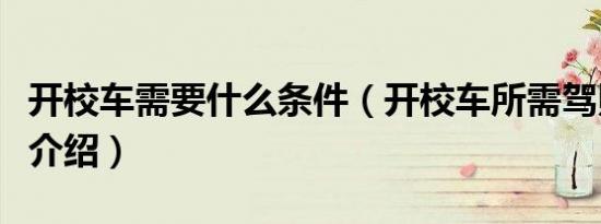 开校车需要什么条件（开校车所需驾照及条件介绍）