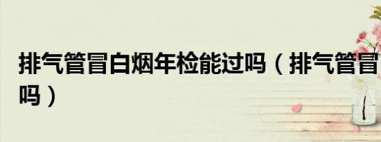 排气管冒白烟年检能过吗（排气管冒白烟正常吗）