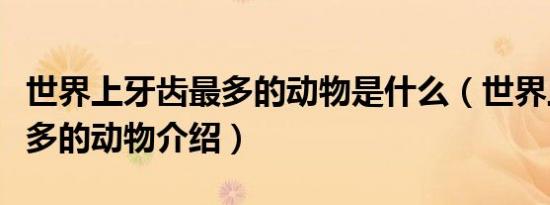 世界上牙齿最多的动物是什么（世界上牙齿最多的动物介绍）
