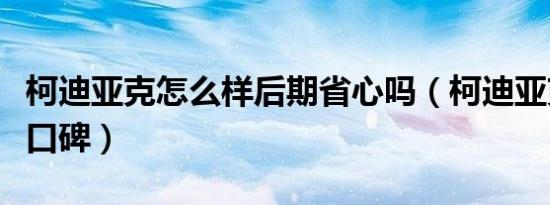 柯迪亚克怎么样后期省心吗（柯迪亚克怎么样口碑）