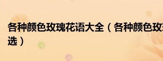 各种颜色玫瑰花语大全（各种颜色玫瑰花语精选）