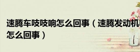 速腾车吱吱响怎么回事（速腾发动机吱吱响是怎么回事）