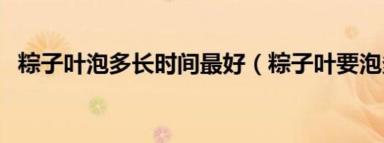 粽子叶泡多长时间最好（粽子叶要泡多久）