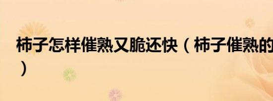 柿子怎样催熟又脆还快（柿子催熟的5种方法）