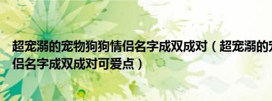 超宠溺的宠物狗狗情侣名字成双成对（超宠溺的宠物狗狗情侣名字成双成对可爱点）