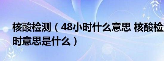 核酸检测（48小时什么意思 核酸检测 48小时意思是什么）