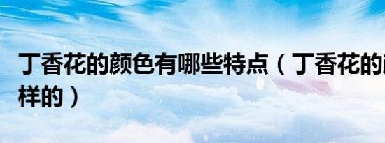 丁香花的颜色有哪些特点（丁香花的颜色是怎样的）