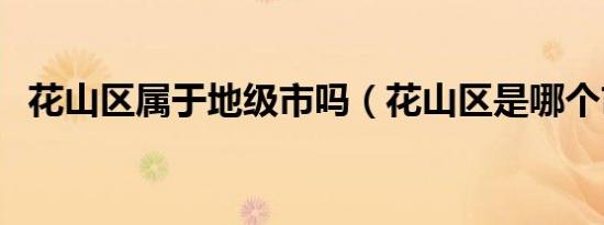 花山区属于地级市吗（花山区是哪个市的）