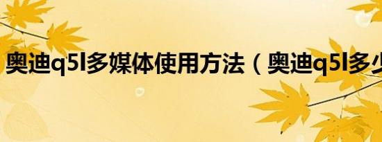 奥迪q5l多媒体使用方法（奥迪q5l多少钱啊）