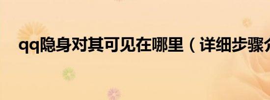 qq隐身对其可见在哪里（详细步骤介绍）