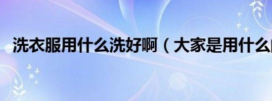 洗衣服用什么洗好啊（大家是用什么的呢）