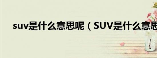 suv是什么意思呢（SUV是什么意思呢）