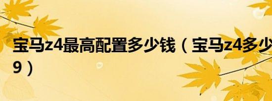 宝马z4最高配置多少钱（宝马z4多少钱呀2019）