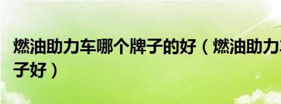 燃油助力车哪个牌子的好（燃油助力车哪个牌子好）