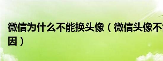 微信为什么不能换头像（微信头像不能换的原因）