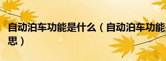 自动泊车功能是什么（自动泊车功能是什么意思）