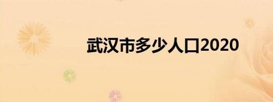 武汉市多少人口2020