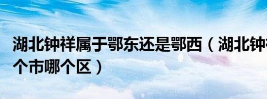 湖北钟祥属于鄂东还是鄂西（湖北钟祥属于哪个市哪个区）