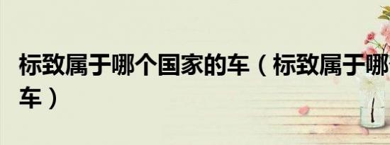 标致属于哪个国家的车（标致属于哪个国家的车）