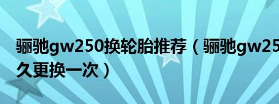 骊驰gw250换轮胎推荐（骊驰gw250轮胎多久更换一次）