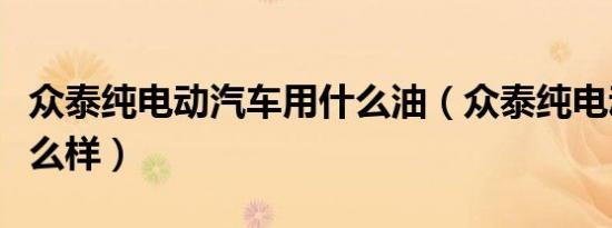 众泰纯电动汽车用什么油（众泰纯电动汽车怎么样）