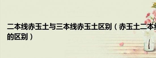 二本线赤玉土与三本线赤玉土区别（赤玉土二本线和三本线的区别）