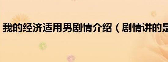 我的经济适用男剧情介绍（剧情讲的是什么）