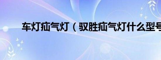 车灯疝气灯（驭胜疝气灯什么型号）