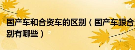 国产车和合资车的区别（国产车跟合资车的区别有哪些）