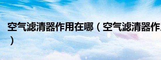 空气滤清器作用在哪（空气滤清器作用是什么）