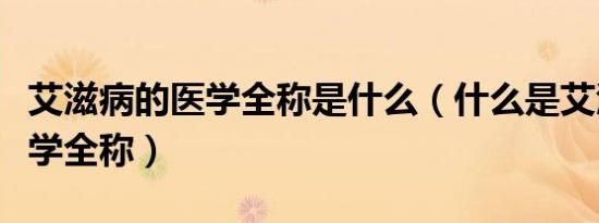 艾滋病的医学全称是什么（什么是艾滋病的医学全称）